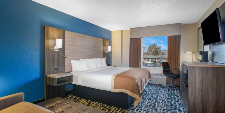 BRAMOBIS 07 - SUITE 1